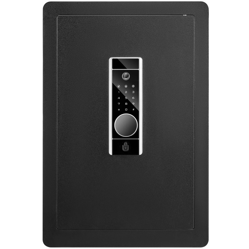 Fire Safe Document - SucceBuy Caja fuerte eléctrica 2,2/1,8 pies